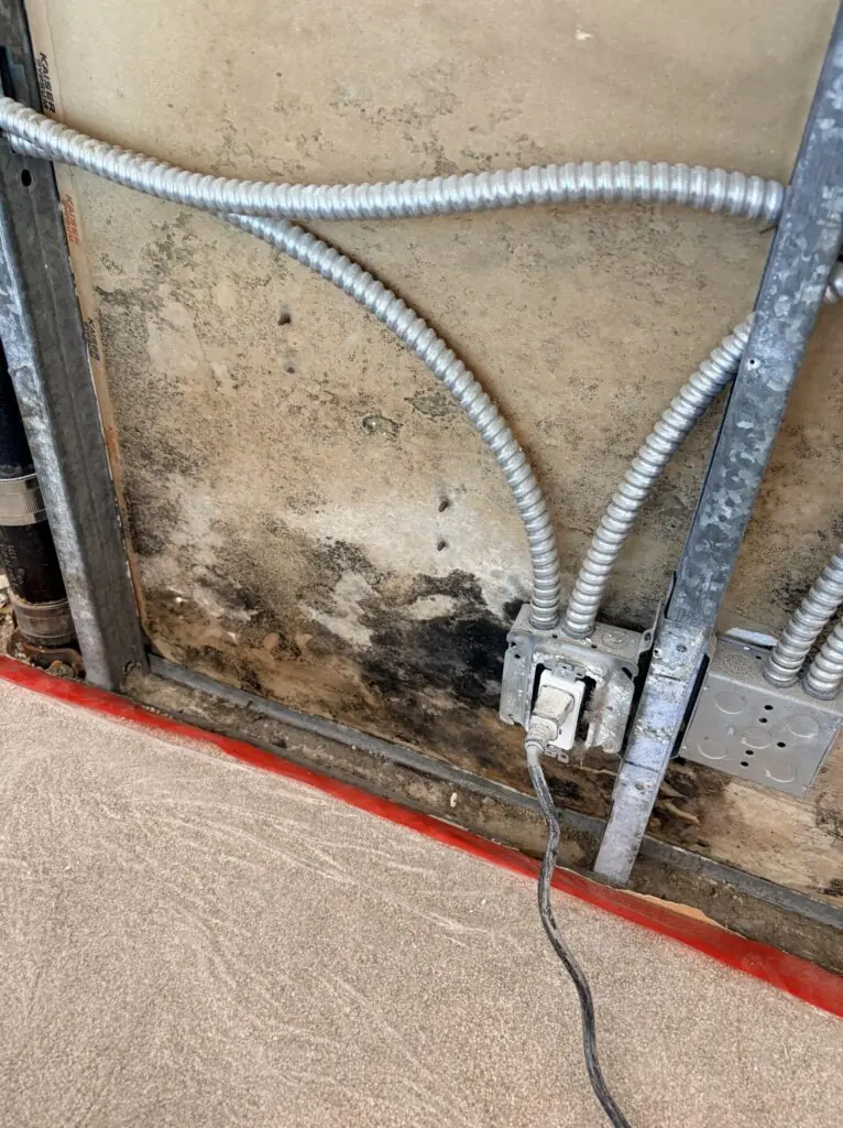 Mold in Long Beach California